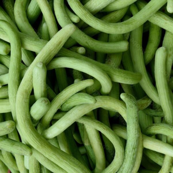 Kakkadi Long Melon Seeds