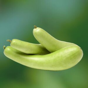 Bottle Gourd Seeds