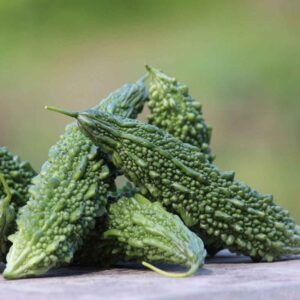 Bitter Gourd Seeds