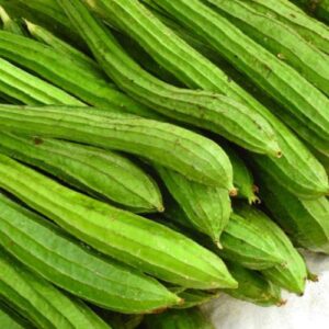 Ridge Gourd