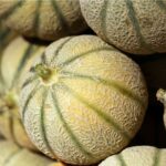 Muskmelon Madhuraj F1 Hybrid