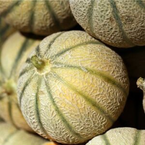 Muskmelon Madhuraj F1 Hybrid