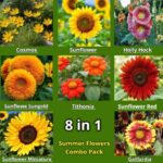 summer flower seeds