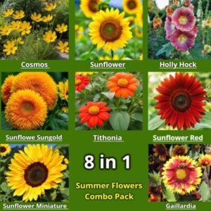 summer flower seeds
