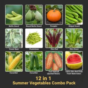 12 in 1 Summer Vegetable Seeds Combo Pack