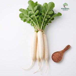 Radish Seeds