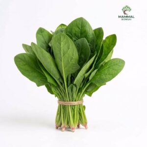 Spinach Seeds