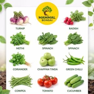 Kitchen Garden Seed Combo