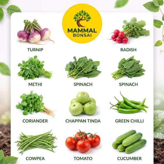 Kitchen Garden Seed Combo